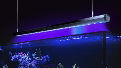 Reef Flare Bar 2 (M) 90 cm