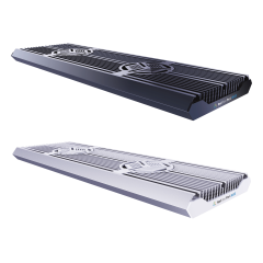 Reef Flare Pro Blue L