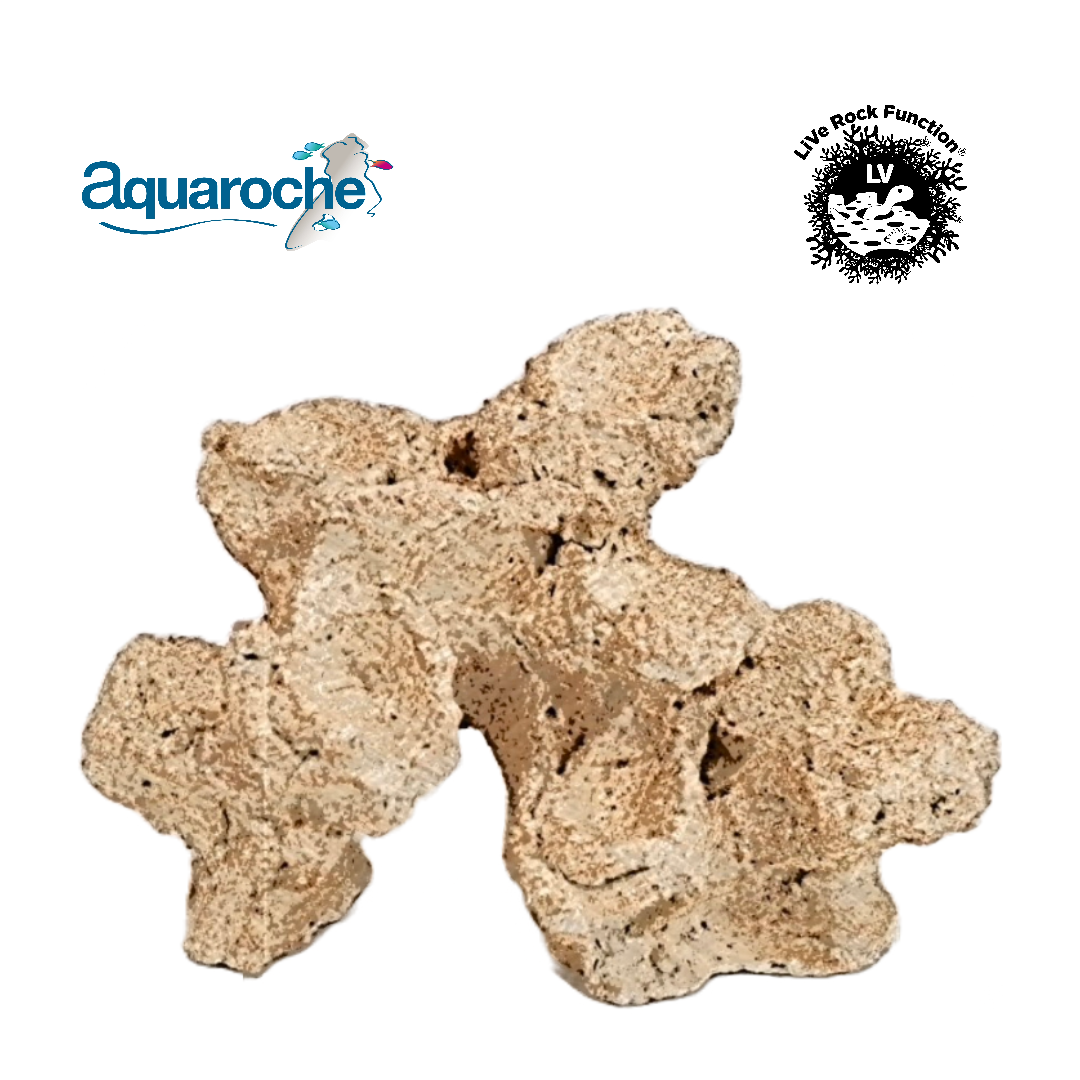 Rock & Reef Medium 1
