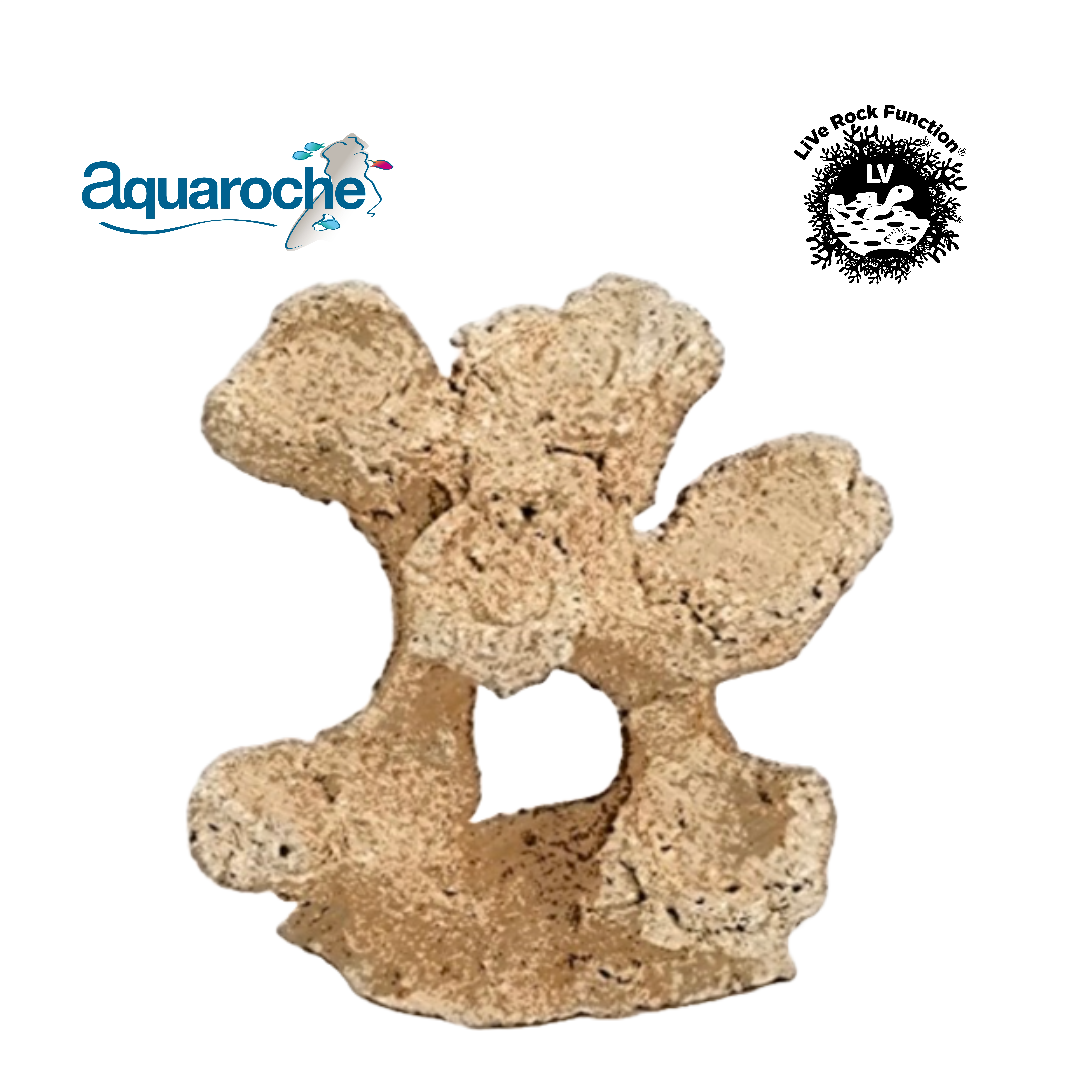 Rock & Reef Medium 2