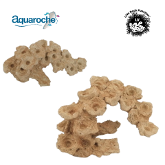 Zoa Garden Rock Arch