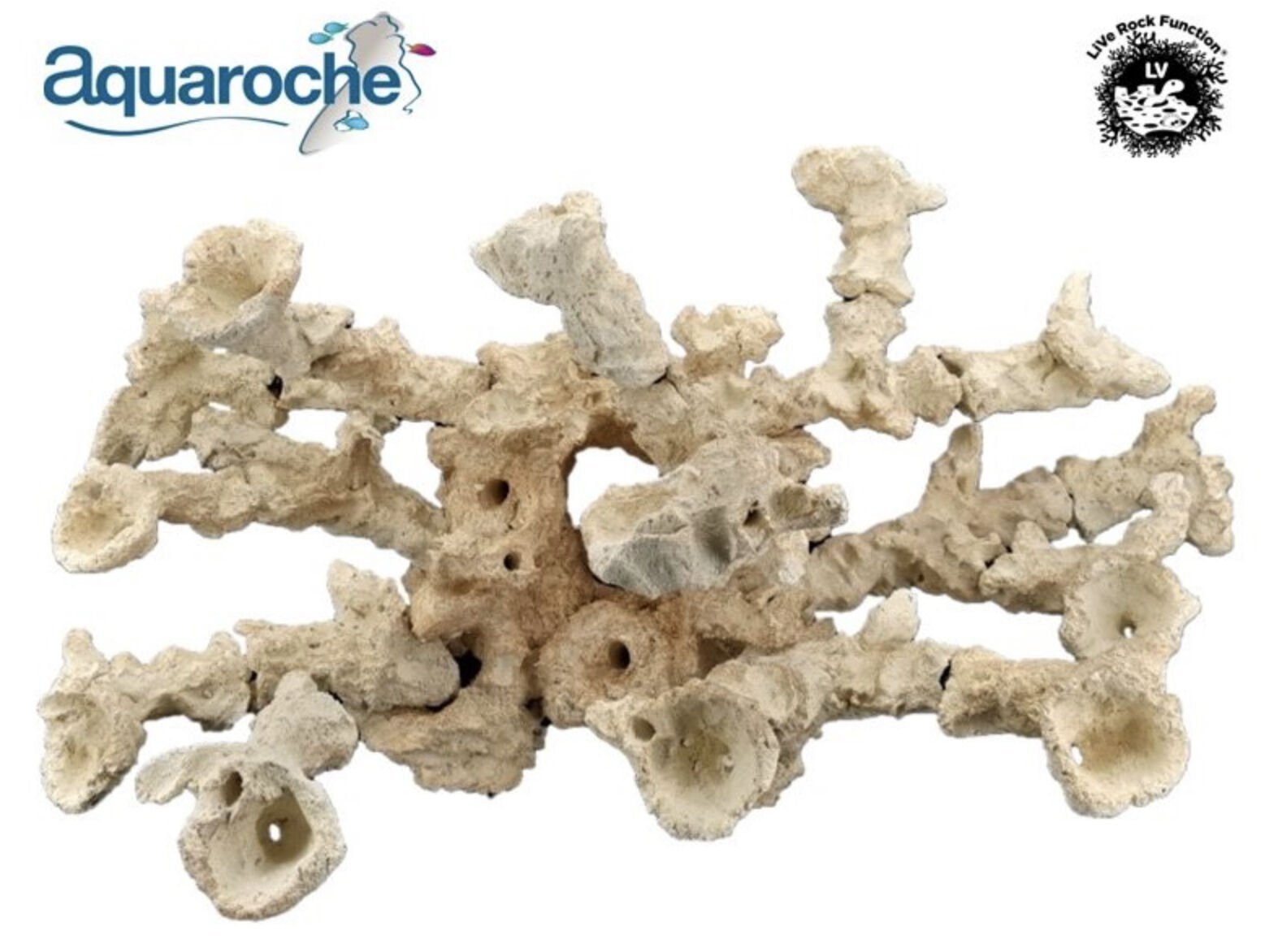 Acropora kit 21 pieces