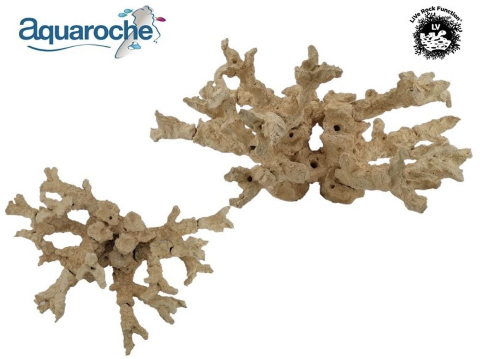 Acropora kit 21 pieces branch tipped