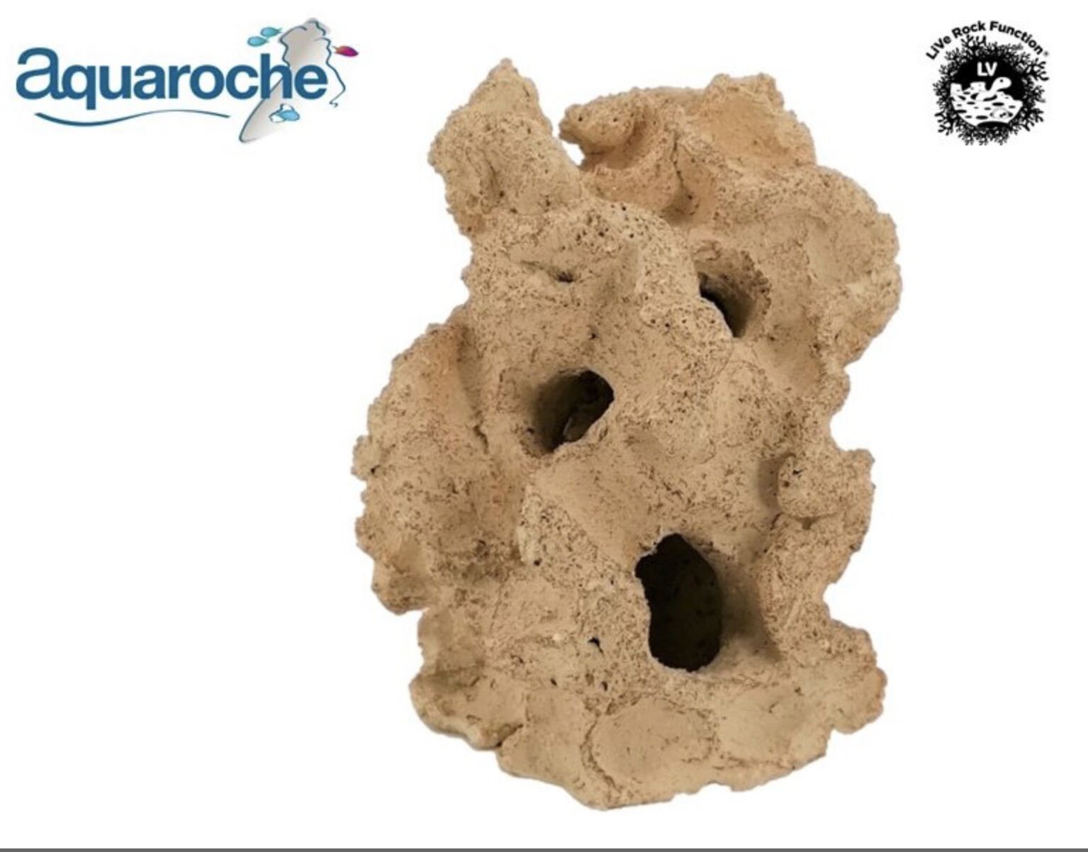 Jawfish home H 18 cm