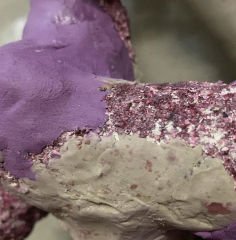 Hold fast Epoxy (KUM rengi) 120 grams