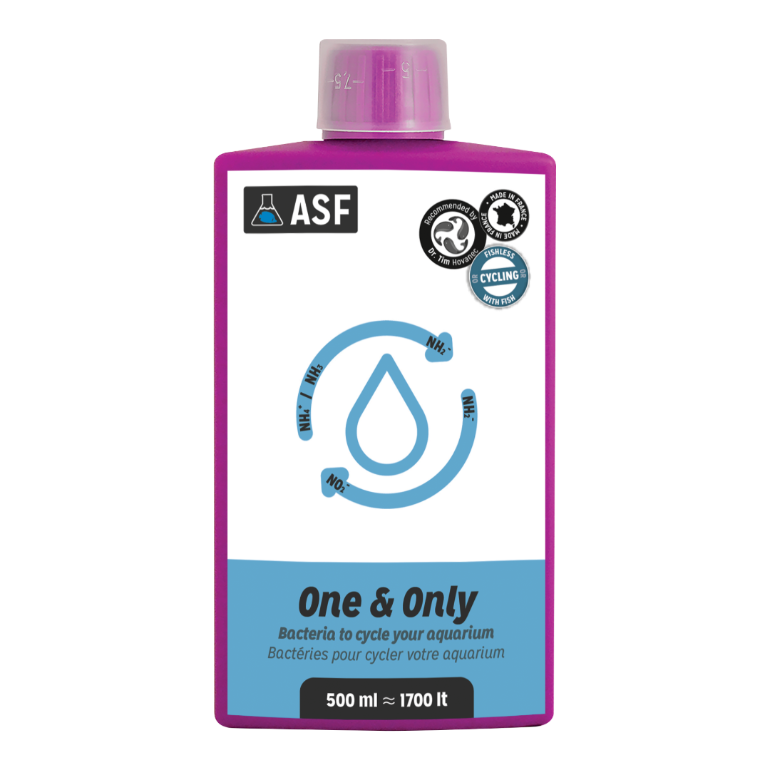 One & Only  500ml