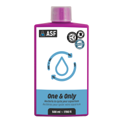 One & Only  500ml