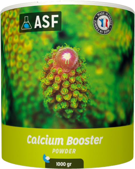 Calcium Booster 1000 gr