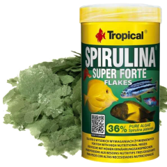 Tropical Super Spirulina Forte Pul Yem Kovadan Bölme 100 gram