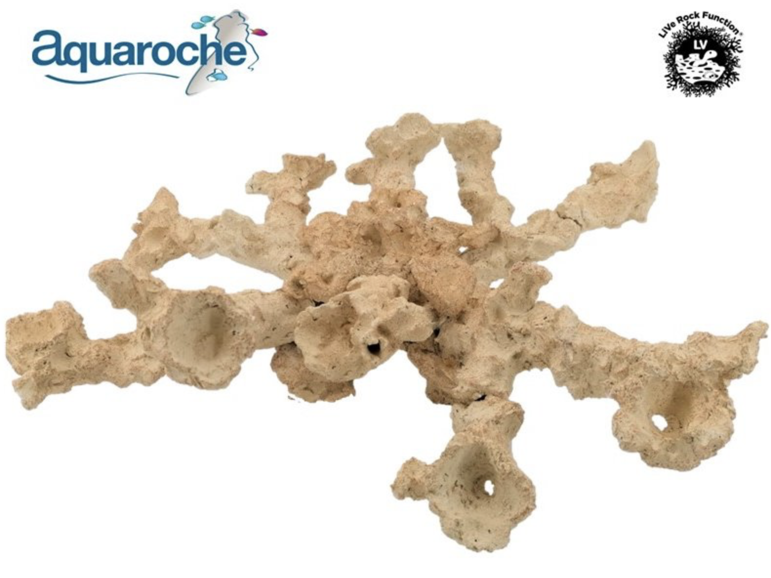 Acropora kit 15 pieces branch cup
