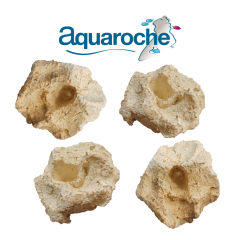 Frag Rocks - 10 Adet