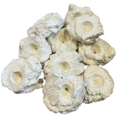 Frag Rocks - 10 Adet