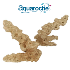 Zoa Garden Active 12 Plug