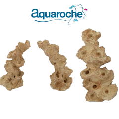 Zoa Garden Pillar 10 plugs