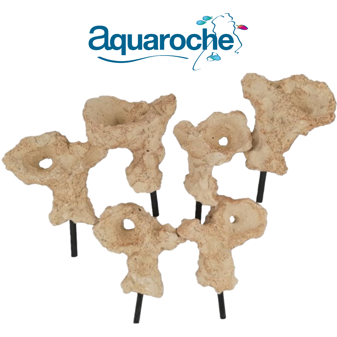 Acroporock Coral Plug