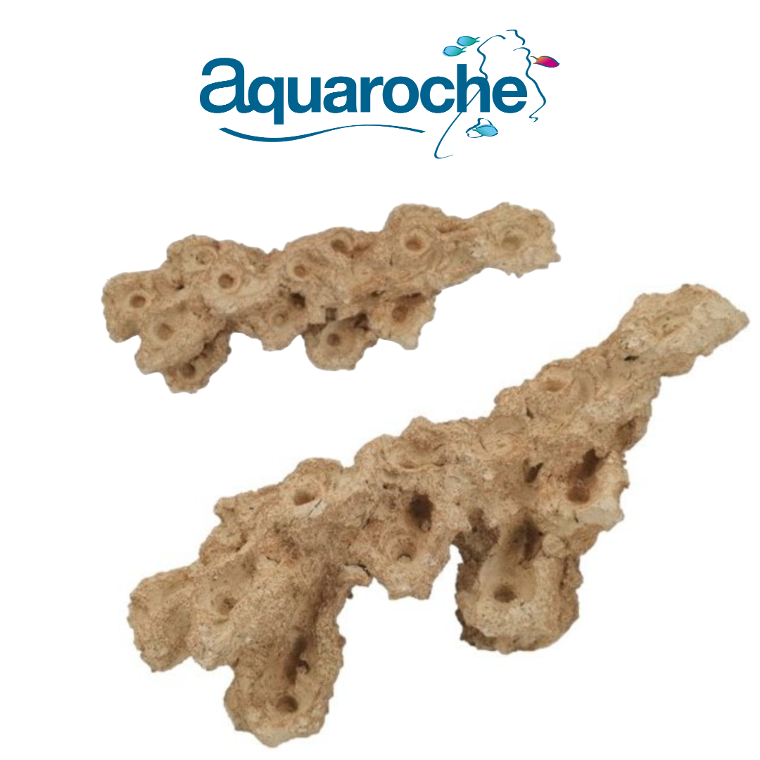 Zoa Garden Grand - 14 plugs