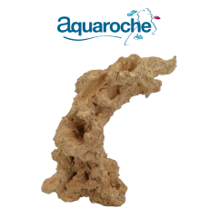 Anemone Arche