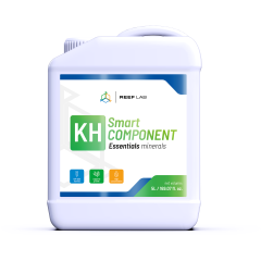 Smart Component 3X5 Litre