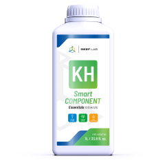 Smart Component 3X1 Litre