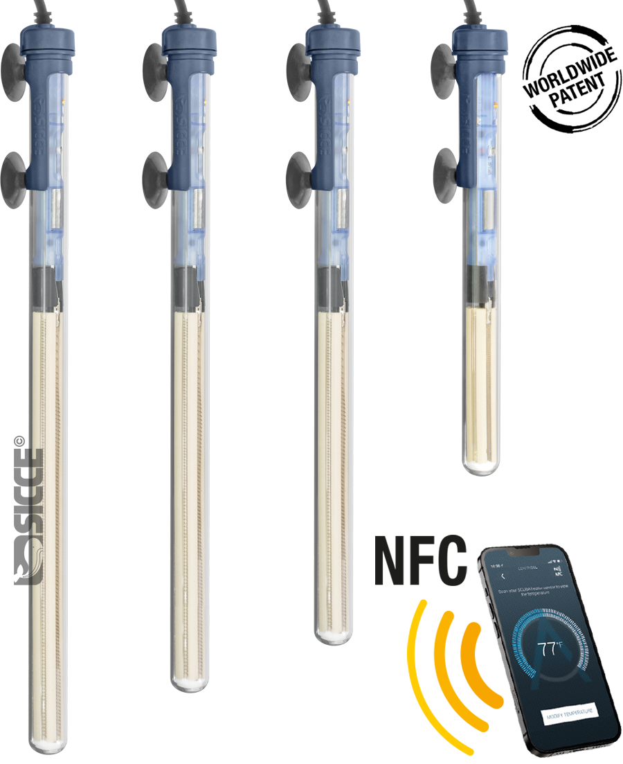 Scuba Contactless 300W