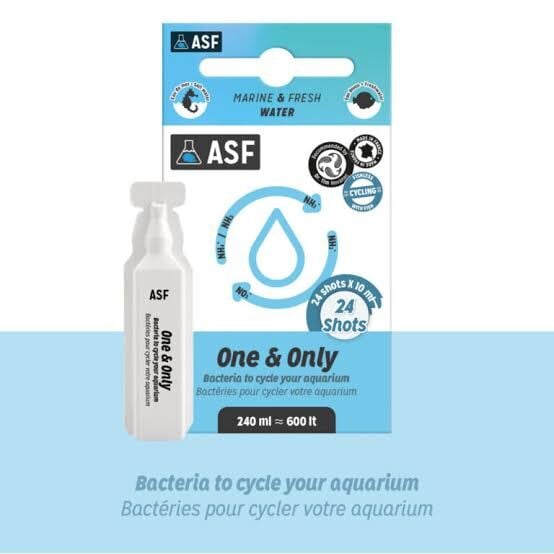 One & Only (24x10) 240 ml