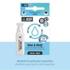 One & Only (24x10) 240 ml