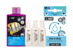 One & Only (24x10) 240 ml
