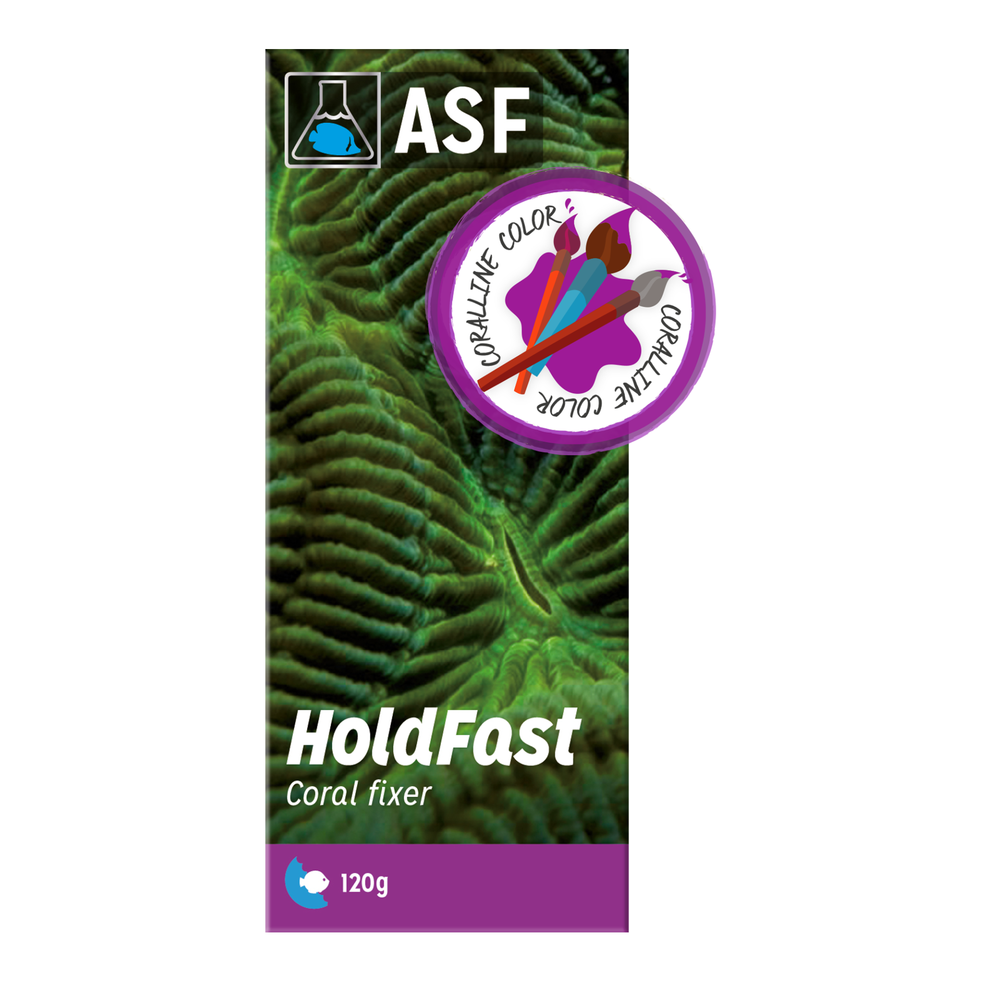 Hold fast Epoxy (MOR rengi) 120 grams