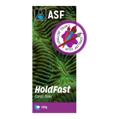 Hold fast Epoxy (MOR rengi) 120 grams