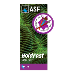 Hold fast Epoxy (MOR rengi) 120 grams
