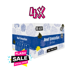 Reef Evolution Kutu 2kg X 10 poşet (4 Adet)