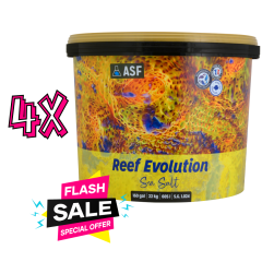 Reef Evolution 22 kg Kova (4 adet )