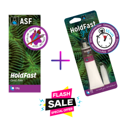ASF Hold fast Epoxy + Hold fast Gel