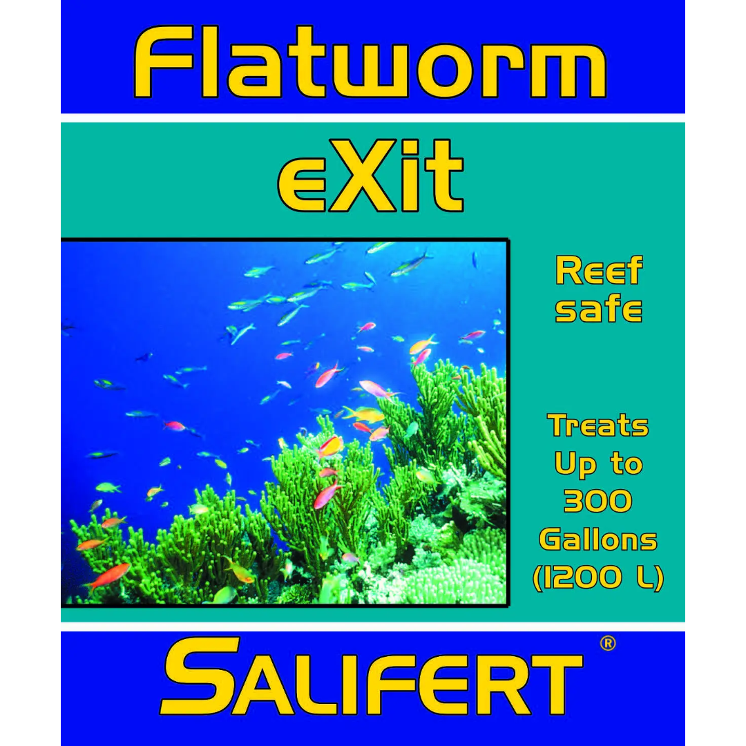 Flatworm Exit