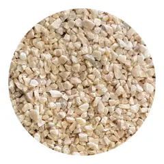 Jun Gokujyou Sango No3 - 5kg (Mercan Kırığı)