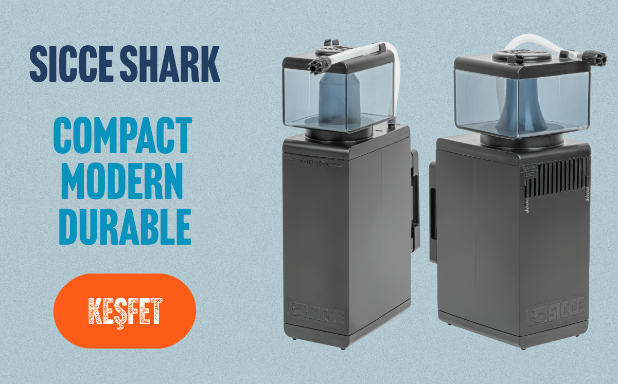 https://www.mansyreef.com/kategori/protein-skimmer